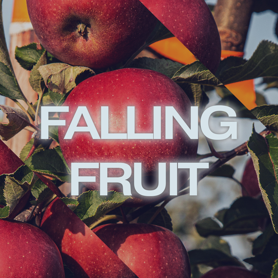 Falling Fruit Week Three